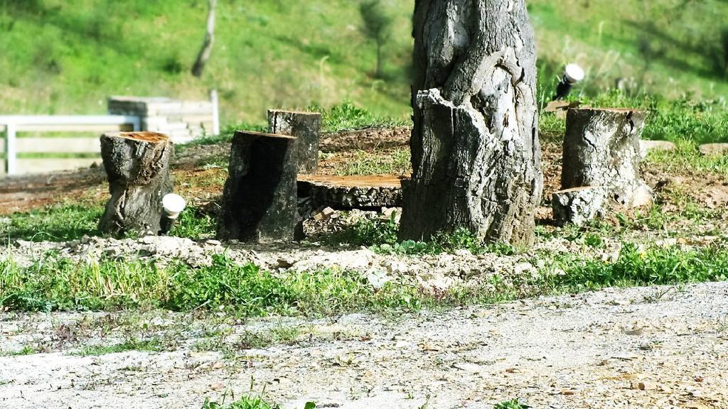 Monte Corgo Da Vaca Villa Sabóia Dış mekan fotoğraf